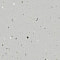 Линолеум Forbo Surestep Star 176032 Smoke - 2.0